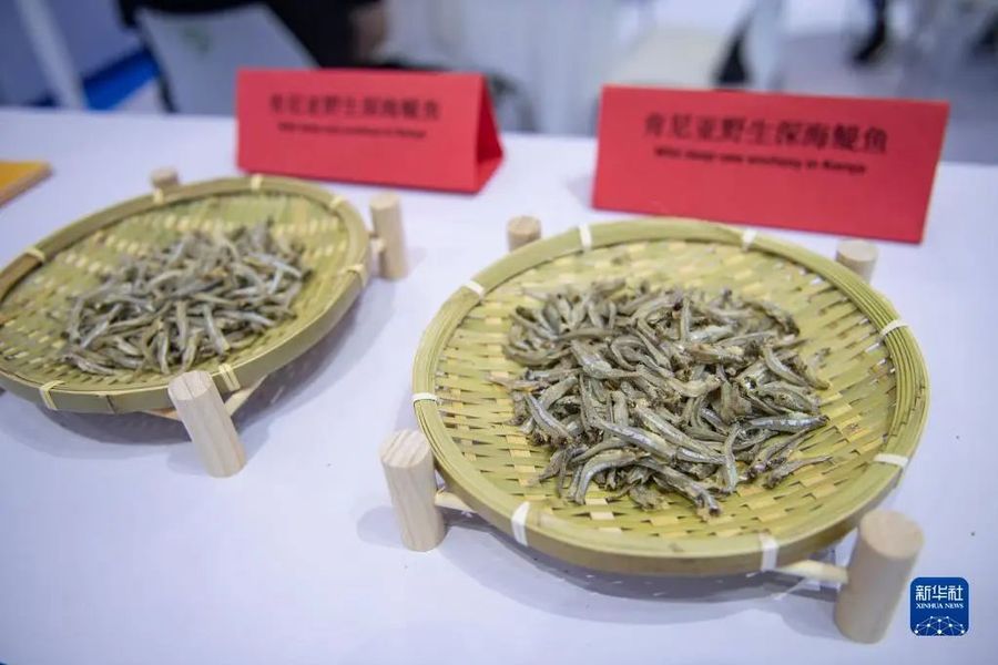 中国首次进口肯尼亚野生鳀鱼产品